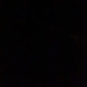 Meet your Posher, Janice